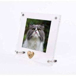 Plexiglas Dieren Fotolijst, Matgouden Tinnen Ashartje Pootafdrukje (0.005 liter)
