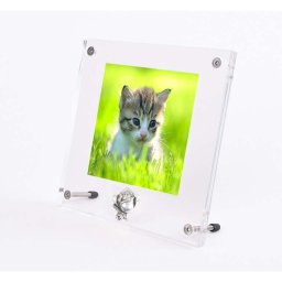 Plexiglas Dieren Fotolijst, Zilver Tinnen Asroosje (0.005 liter)