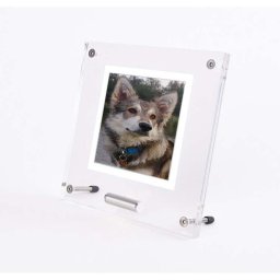 Plexiglas Dieren Fotolijst, Zilver RVS Asbuisje (0.01 liter)