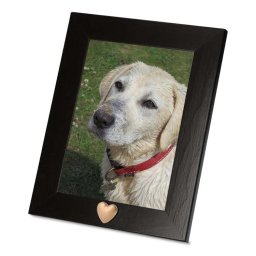 Donkerbruine Dieren Fotolijst met Matgouden Ashartje (0.005 liter)