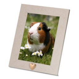Effen Dieren Fotolijst met Matgouden Ashartje (0.005 liter)