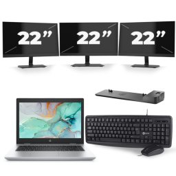 HP ProBook 645 G4 - AMD Ryzen 5 2500U - 14 inch - 8GB RAM - 256GB SSD - Windows 10 + 3x 22 inch Monitor
