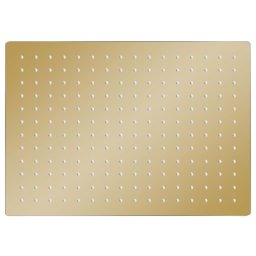 vidaXL Regendouchekop rechthoekig 40x30 cm roestvrij staal goudkleurig