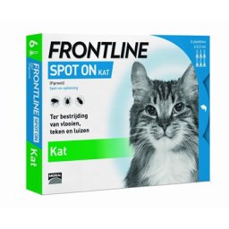 FRONTLINE KAT SPOT ON 6 PIPET