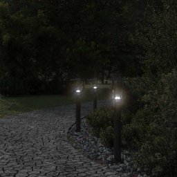 vidaXL Vloerlamp voor buiten 60 cm roestvrij staal zwart