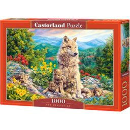 New Generation Puzzel (1000 stukjes)