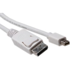 ACT Mini DP naar Displaypoort M/M 2m