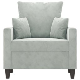 vidaXL Fauteuil 60 cm fluweel lichtgrijs
