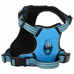 vidaXL Hondentuigje met riem en halsband verstelbaar XL blauw