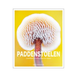 Paddenstoelen, onmisbare wonderen van de natuur