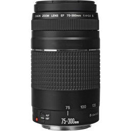 Canon EF 75-300mm f/4.0-5.6