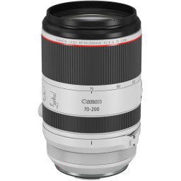 Canon RF 15-35mm f/2.8L IS USM