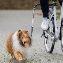 Trixie Honden Biker-Set Fietsbeugel Springer