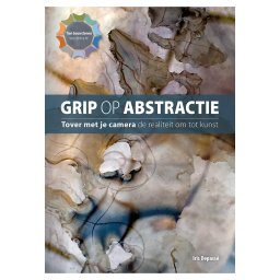 Grip op abstractie