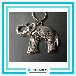 Hanger Olifant