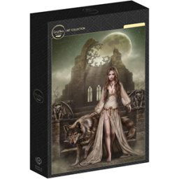 Belong to the Night Puzzel (1000 stukjes)