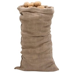 vidaXL Jutezakken 5 stuks 220 g/m² 65x135 cm 100% jute