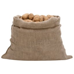vidaXL Jutezakken 5 stuks 100x110 cm 100% Jute 220 g/m²