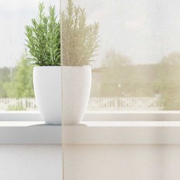 vidaXL Gordijnen voile met doorvoertules 2 st 140x245 cm crèmekleurig