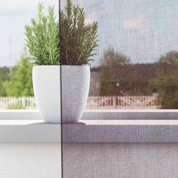 vidaXL Gordijnen voile met doorvoertules 2 st 140x300 cm paars