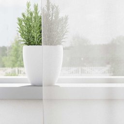 vidaXL Gordijnen voile met doorvoertules 2 st wit
