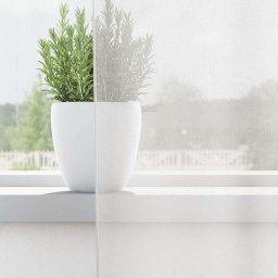 vidaXL Gordijnen voile met doorvoertules 2 st wit