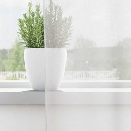 vidaXL Gordijnen voile met doorvoertules 2 st wit