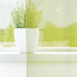 vidaXL Gordijnen voile met lipje Top 2 st Appelgroen