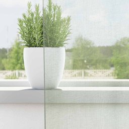 vidaXL Gordijnen voile met lussen 2 st 140x175 cm lichtgrijs