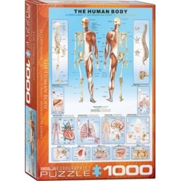 The Human Body Puzzel (1000 stukjes)