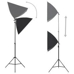 vidaXL Professionele studiolampen 2 st 40x60 cm staal zwart