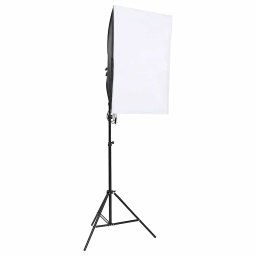 vidaXL Studiolampen 2 st professioneel 40x60 cm
