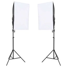 vidaXL Fotostudioset met verlichtingsset en achtergrond