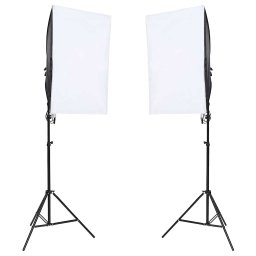 vidaXL Fotostudioset met verlichtingsset en achtergrond