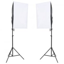 vidaXL Fotostudioset met verlichtingsset en achtergrond