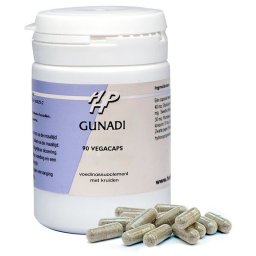 Holisan Gunadi