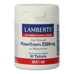 Lamberts Crataegus 2500mg Tabletten