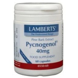 Lamberts Pycnogenol 40 mg Capsules