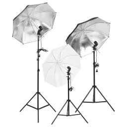 vidaXL Fotostudioset met verlichtingsset en achtergrond