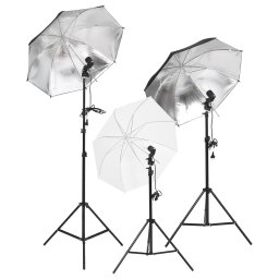 vidaXL Fotostudioset met verlichtingsset en achtergrond