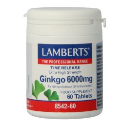 Lamberts Ginkgo 6000mg Time Release Tabletten