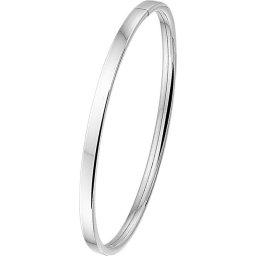 The Jewelry Collection - Bangle Dop Vlakke Buis 4 X 60 mm - Zilver