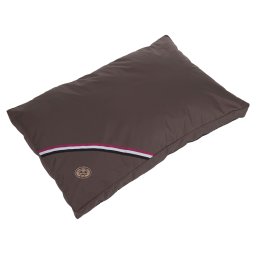 - L 120 x B 80 x H 10 cm - Hondenkussen Champion