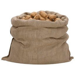 vidaXL Jutezakken 10 stuks 100x110 cm 100% Jute 340 g/m²