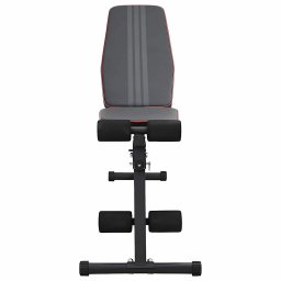 vidaXL Gewichtbank Zwart 131 x 41 x 110 cm Gepoedercoat staal