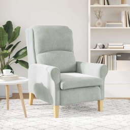 vidaXL Fauteuil Lichtgrijs Fluweel