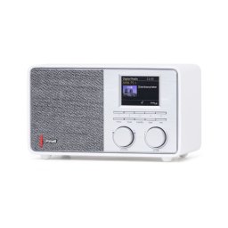 Pinell Supersound 201 W Hybride radio Wit