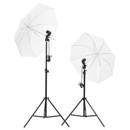 vidaXL Fotostudioset met verlichtingsset en achtergrond