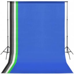 vidaXL Fotostudioset met verlichtingsset en achtergrond