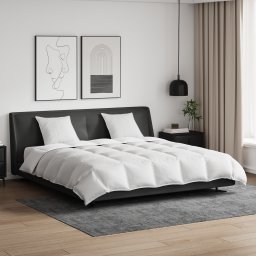 vidaXL Dekbed Set met kussen 3 st Wit Donsveertjes